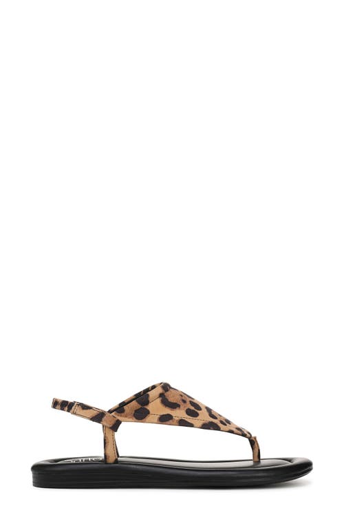 Franco Sarto Jocelyn Leopard Print Sandal In Brown