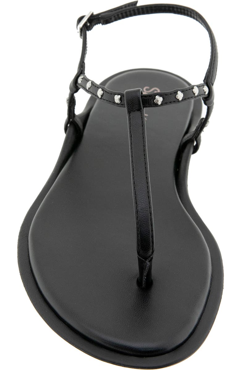 Splendid Asher Studded T-Strap Sandal, Alternate, color, Black