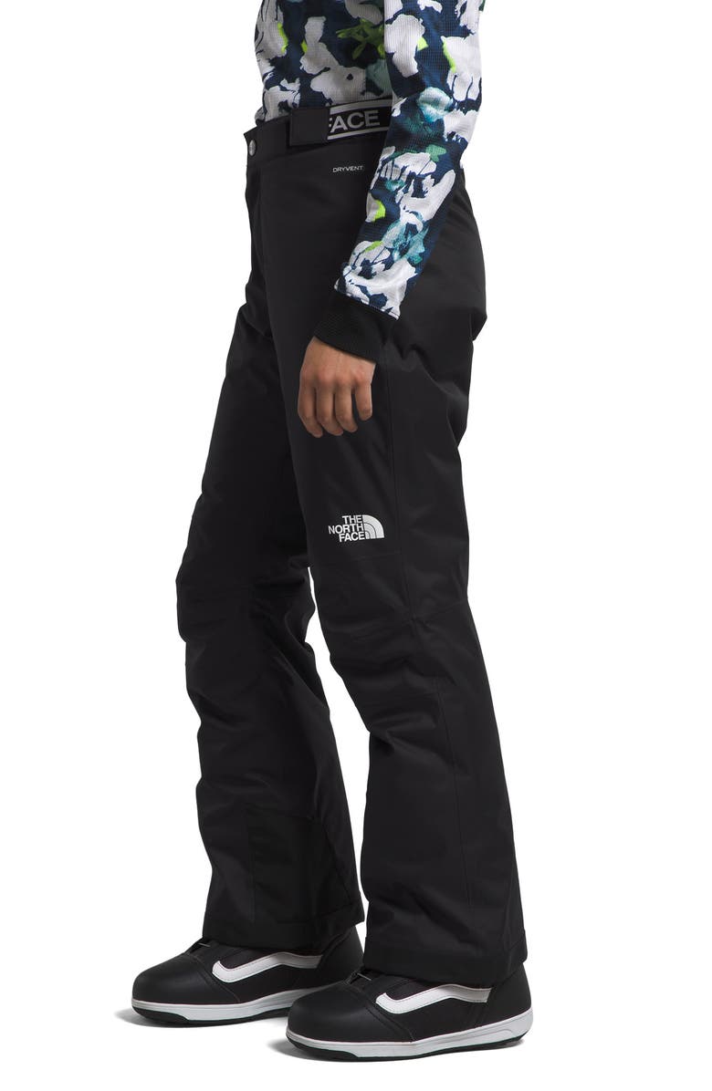 The North Face Kids' Freedom Waterproof Insulated Pants, Alternate, color, 