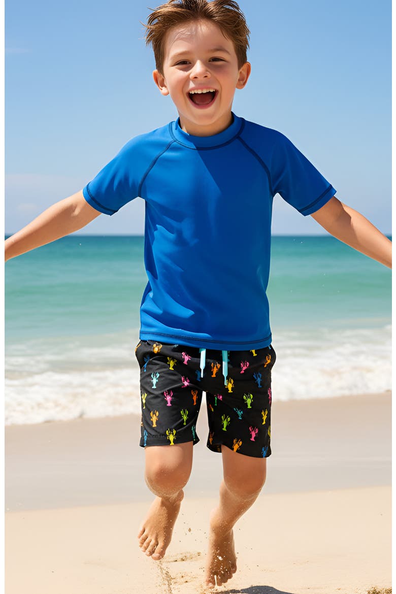 Boys Multicolor Lobsters Print Board Shorts, Alternate, color, Multicolor