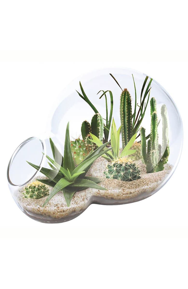 Unique Gardener Desert Escape Growarium Diy Cactus & Succulent Terrarium Kit, Alternate, color, Clear