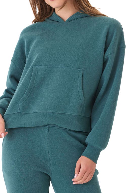 Threads 4 Thought Marcellina Triblend Fleece Pullover Hoodie In Watercress