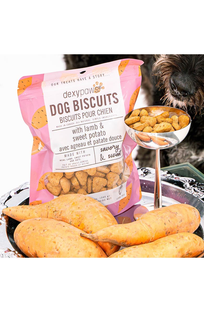 Dexypaws Lamb & Sweet Potato Dog Biscuits 12Oz Natural Pet Treats, Alternate, color, Brown