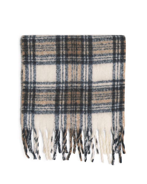 Belle & Bloom Still Into You Scarf In Multi