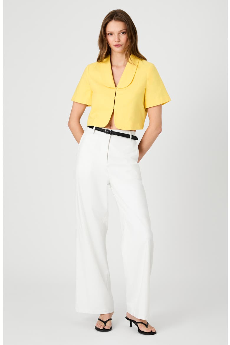 Theo Oversize Peter Pan Collar Crop Top, Alternate, color, BRIGHT DAISY