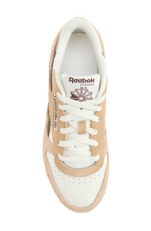 Reebok Classic Leather Sneaker In Chalk/tan/unearthed Brown