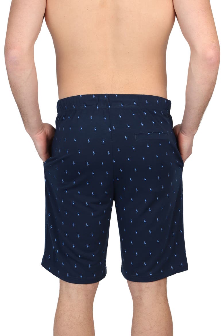 Byrd Print French Terry Shorts, Alternate, color, NAVY