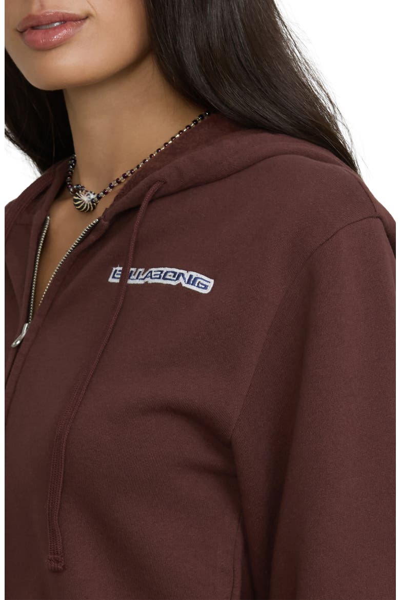 Star Crossed Embroidered Zip Hoodie, Alternate, color, TEAK