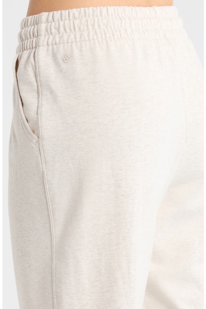 Tempo Terry Ankle Pants, Alternate, color, IVORY BIRCH OATMEAL HEATHER