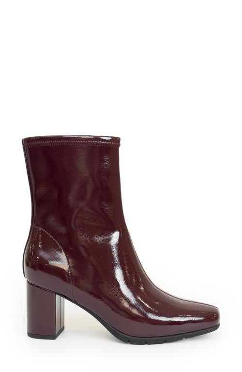 Aerosoles Miley Heeled Boot In Burgundy