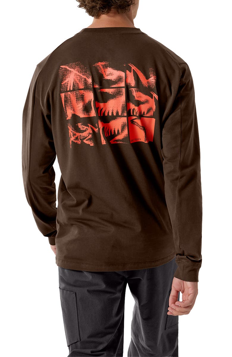 Arc'teryx Kragg Long Sleeve Cotton Graphic T-Shirt, Alternate, color, Carob / Dynasty