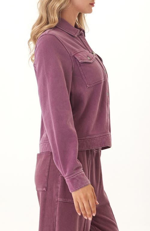 Threads 4 Thought Abbey Mineral Wash Organic Cotton Blend Shirt In Purple
