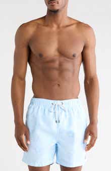 Vintage Summer Tropical Palm Volley Swim Trunks