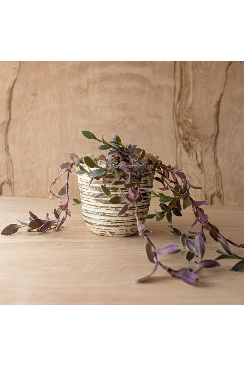 Distressed Ribbed Planter Cream Terracotta, Alternate, color, Brown