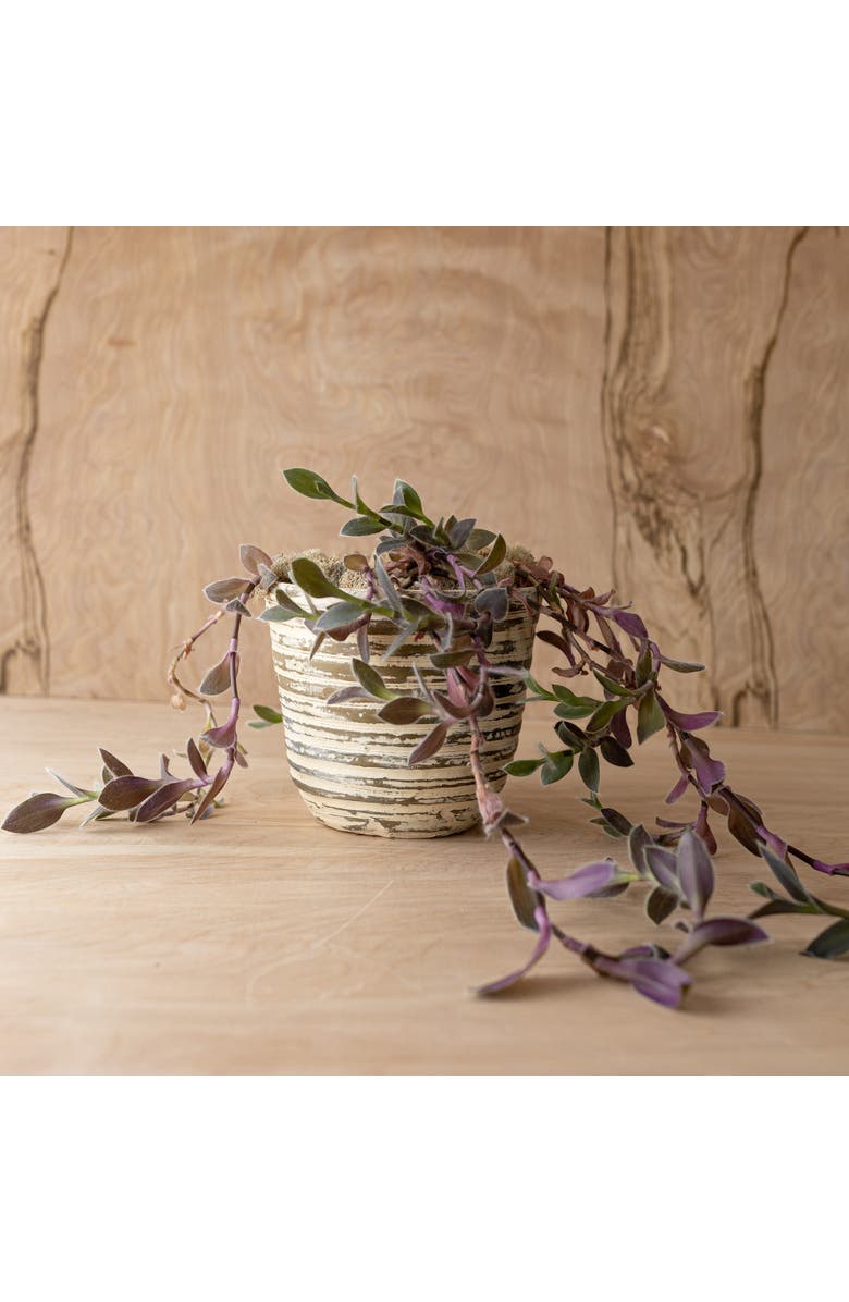 Foreside Home and Garden Distressed Ribbed Planter Cream Terracotta, Alternate, color, Brown