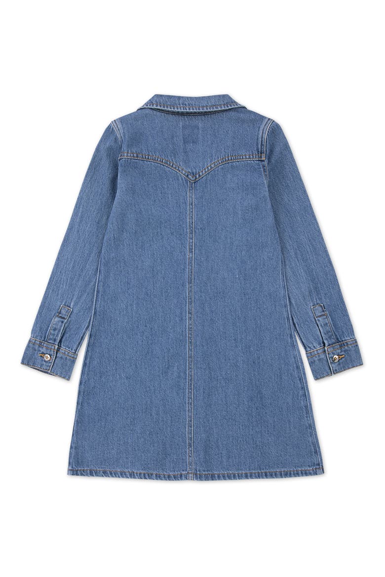 Western Denim Shirtdress, Alternate, color, DREW ME IN