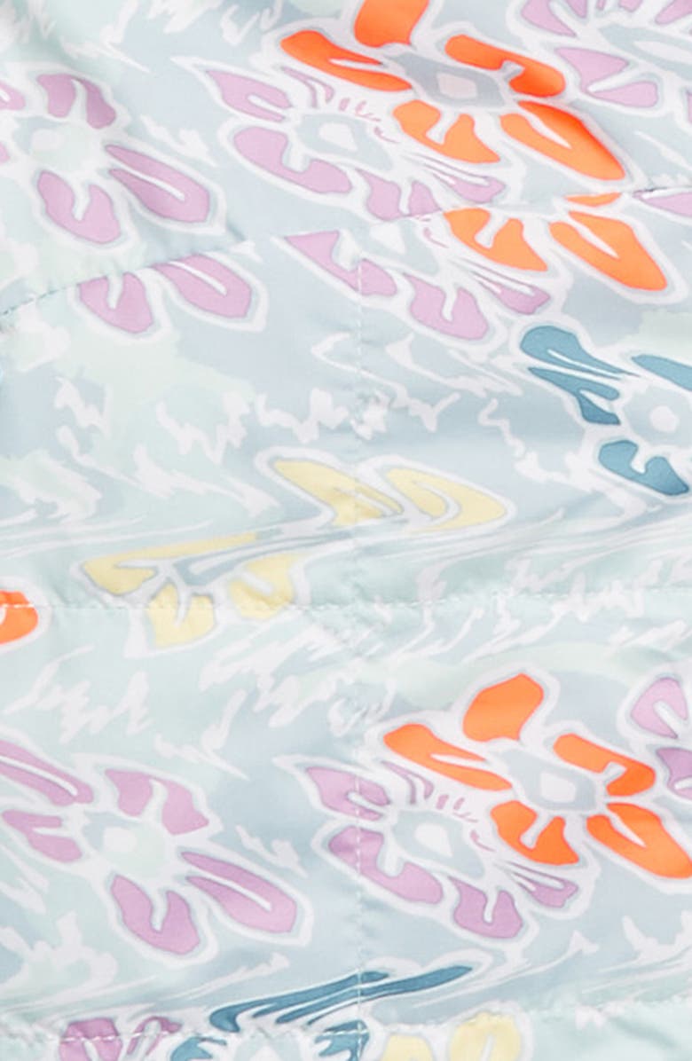 The North Face Kids' Shasta Reversible Hooded Jacket, Alternate, color, 