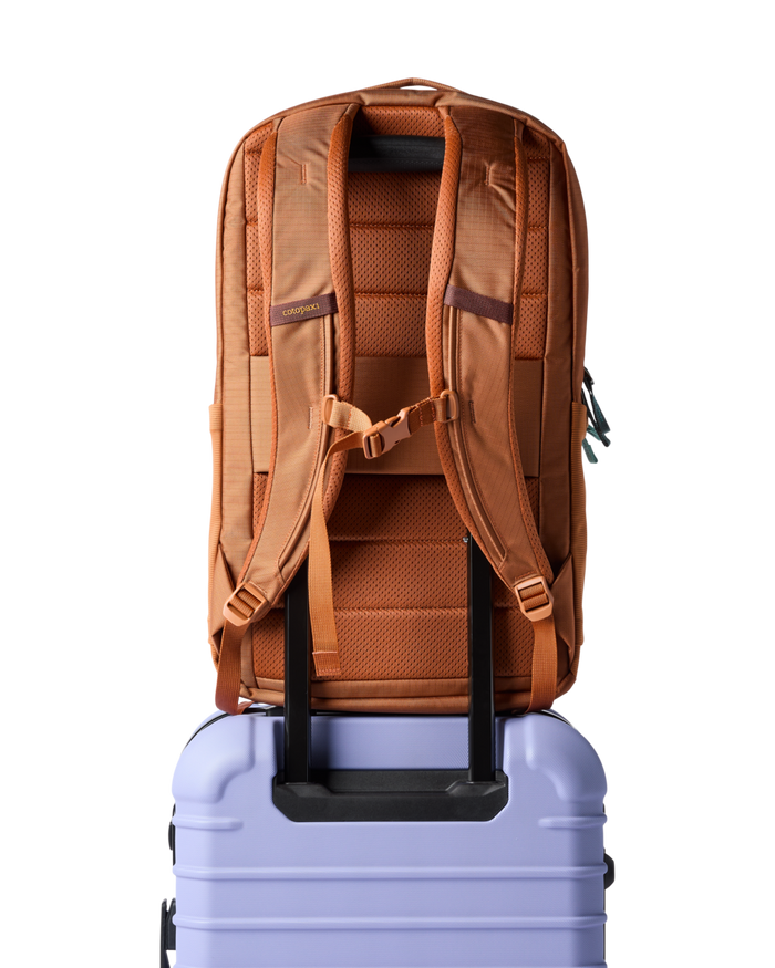 Cotopaxi Allpa 26L Daypack, Alternate, color, Whiskey