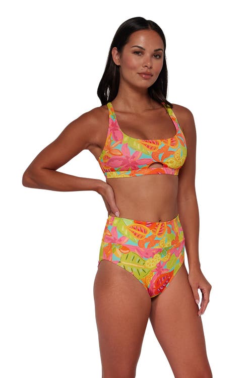 Sunsets Hannah High Waist Bikini Swim Bottoms