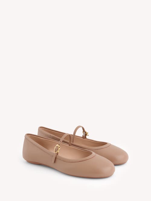 Gianvito Rossi Carla Ballet Flats In Pink