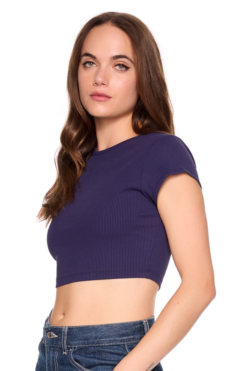 Susana Monaco Crewneck Rib Crop T-Shirt, Alternate, color, Thunder