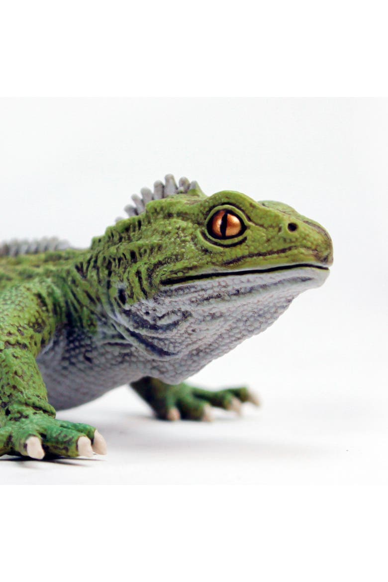 Tuatara Toy, Alternate, color, No Color