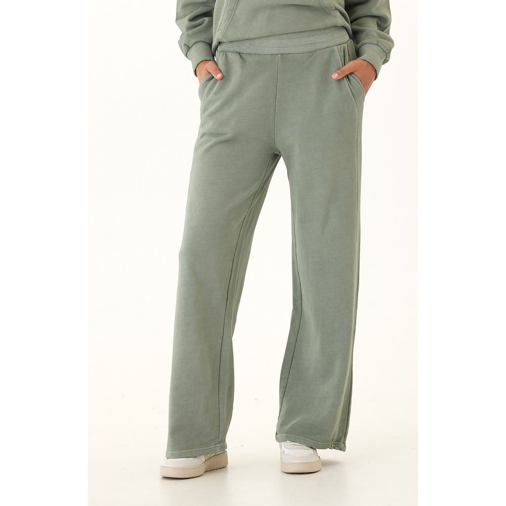 Threads 4 Thought Esmeralda Mineral Wash Wide Leg Pants In Green