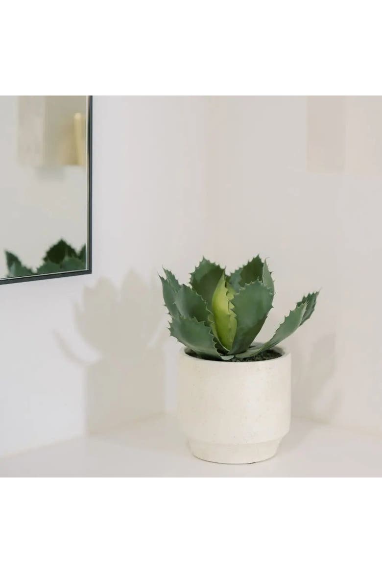 Artificial Succulent Plant Set in Stone Pots, Realistic 2-Pack, Alternate, color, Green succulents in stone pots