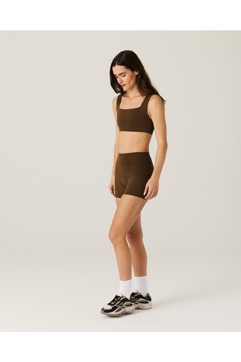 Cruise Bra, Alternate, color, Brown