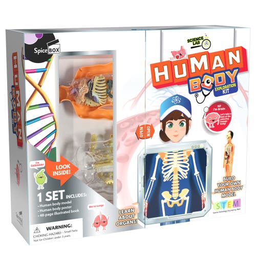 Science Lab Human Body Kit in Multicolored  product