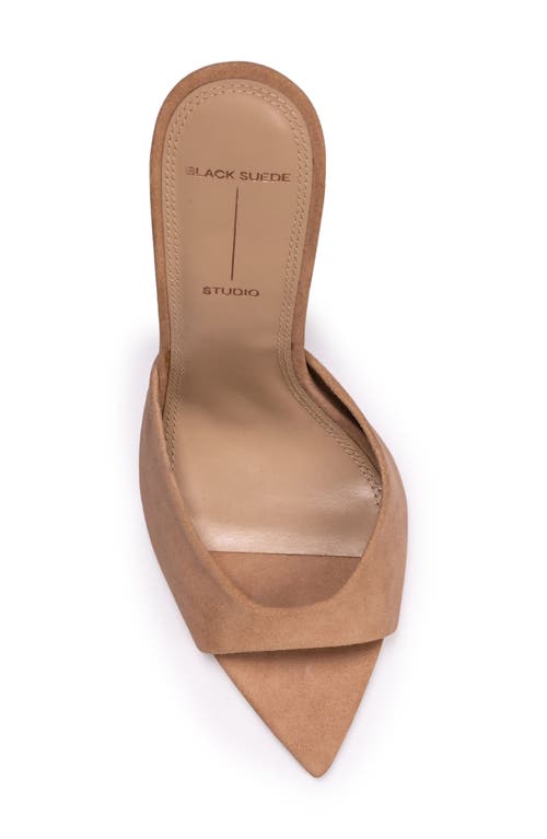 Black Suede Studio Brea Pointed Toe Sandal In Sand Suede