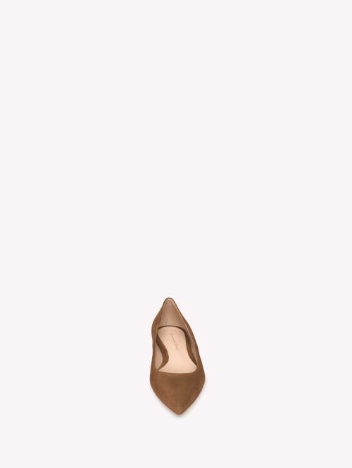 Gianvito Rossi Suede Pointed-toe Ballerina Flats In Brown
