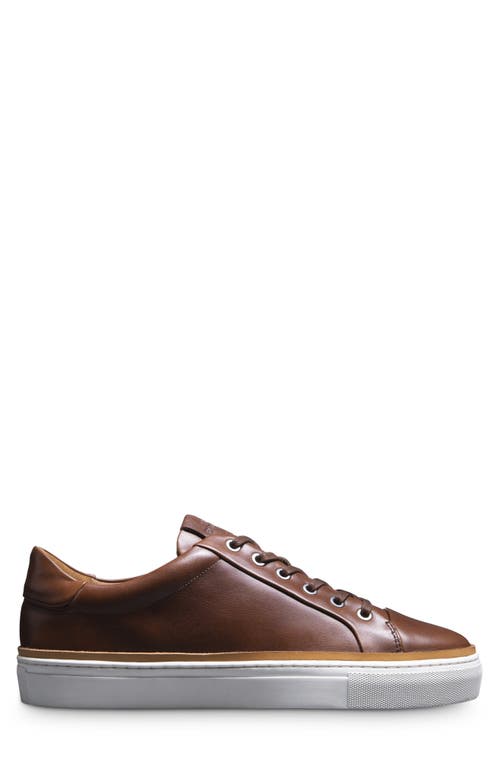 Allen Edmonds Flynn Leather Sneaker
