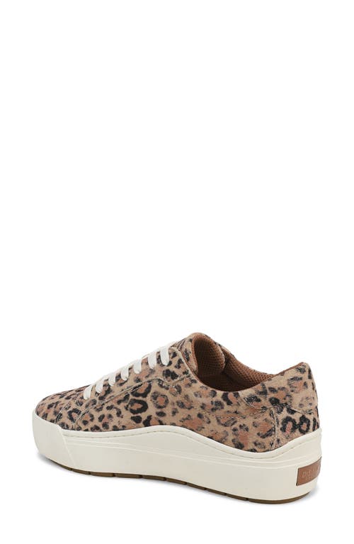 Dr. Scholl's Take Time Platform Sneaker In Brown