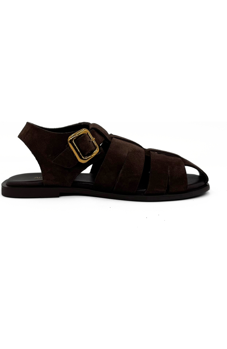 Amie Rafa Bertha Suede Fisherman Sandals, Main, color, Brown