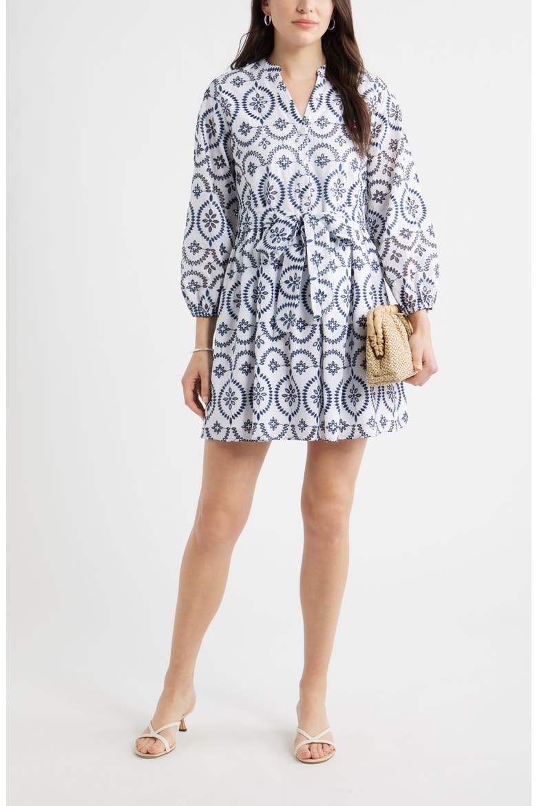 Embroidered Eyelet Lace Dress, Alternate, color, WHITE- BLUE EMBROIDERY