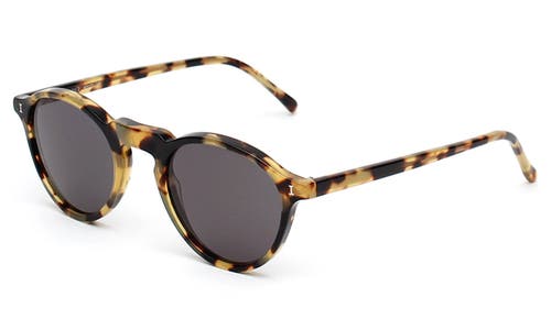 Illesteva Capri Sunglasses In Multi