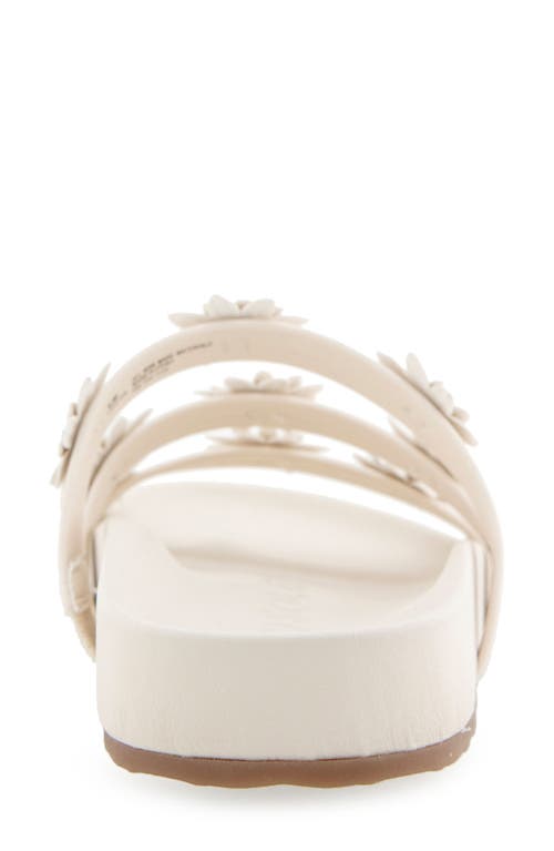 AEROSOLES AEROSOLES LEFLOR SANDAL