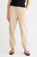 Eileen Fisher Ankle Joggers