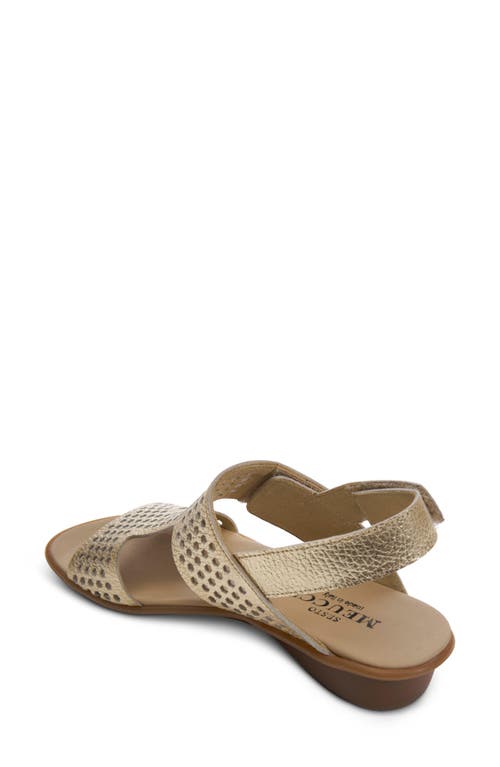 Sesto Meucci Elicia Slingback Sandal In Platino