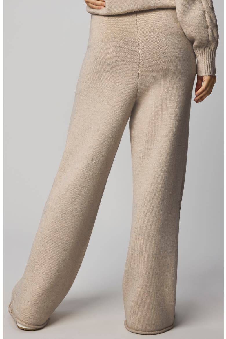 Jetset Sweater Pants, Alternate, color, CAPPUCCINO BROWN