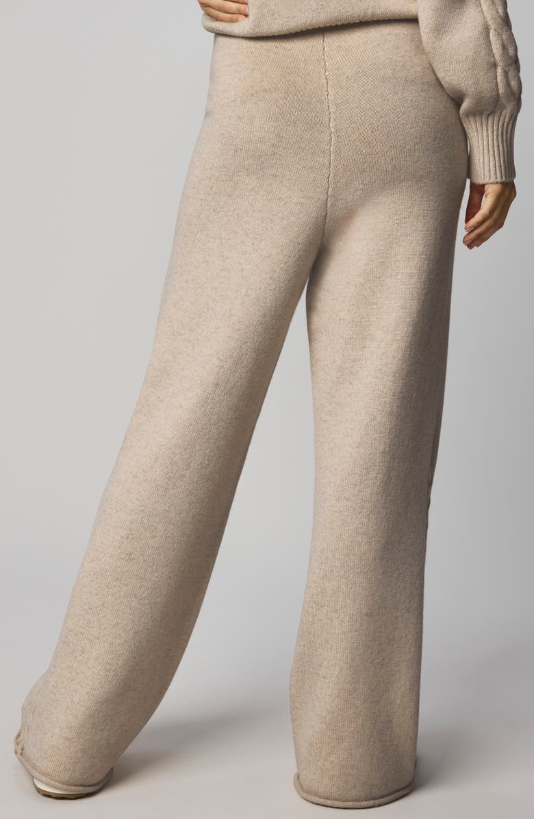 Splendid Jetset Sweater Pants, Alternate, color, Cappuccino Brown