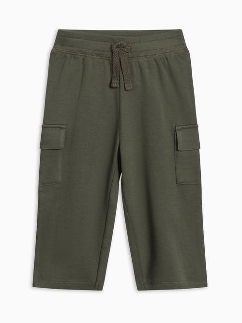 Colored Organics Organic Cotton Will Cargo Pants In Green