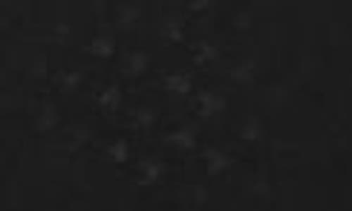 City Chic Journey Ruffle Long Sleeve Maxi Dress In Black