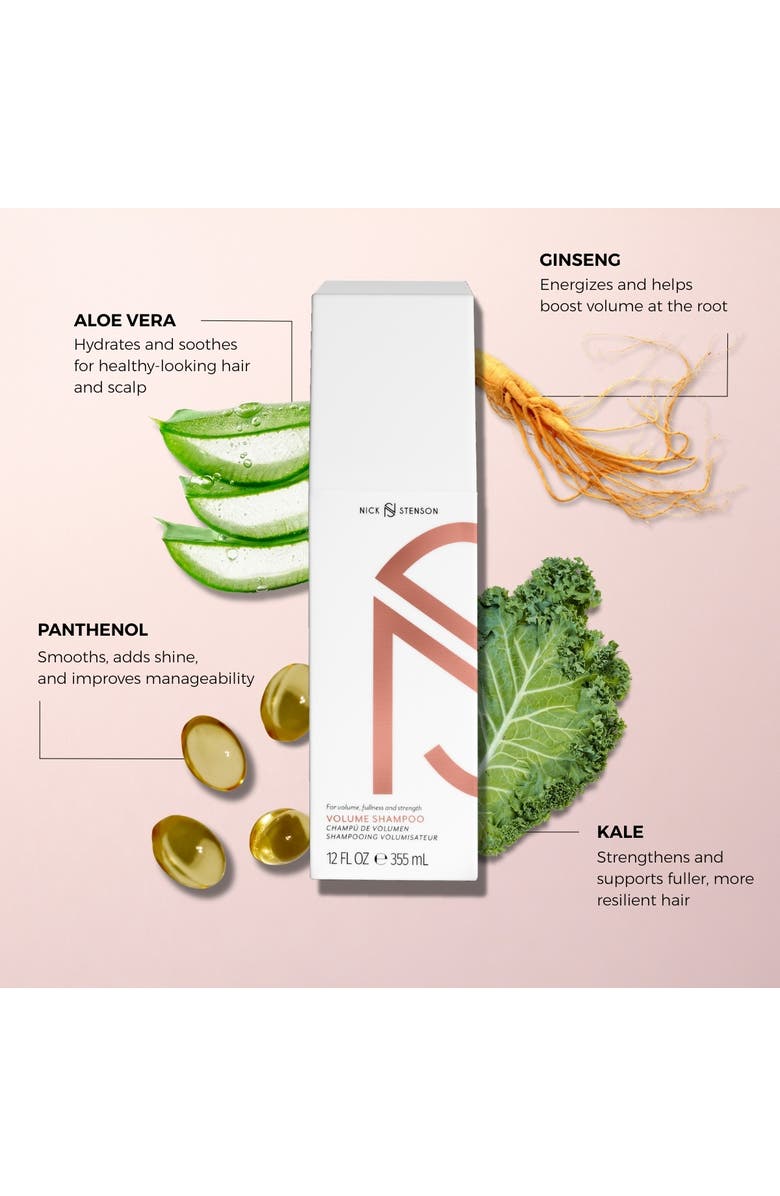 Nick Stenson Beauty Volume Shampoo, Alternate, color, 12 Oz.