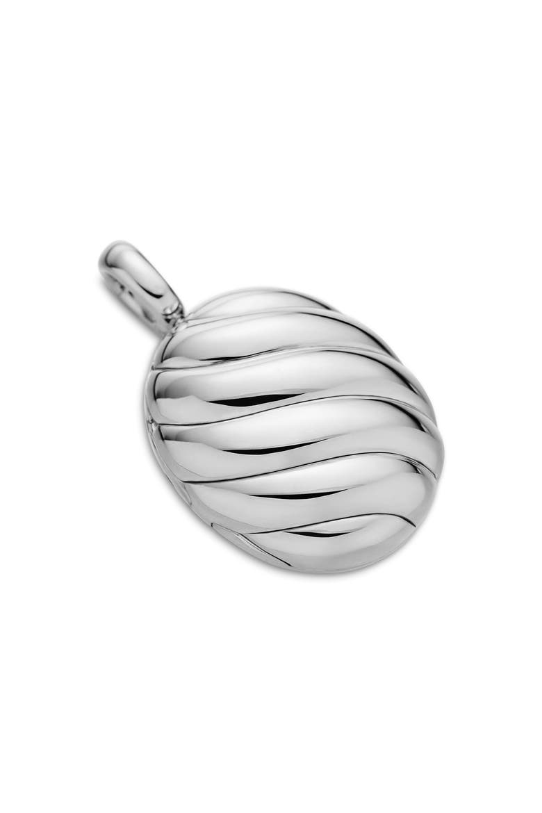 Sculpted Cable Coin Pendant, Alternate, color, STERLING SILVER