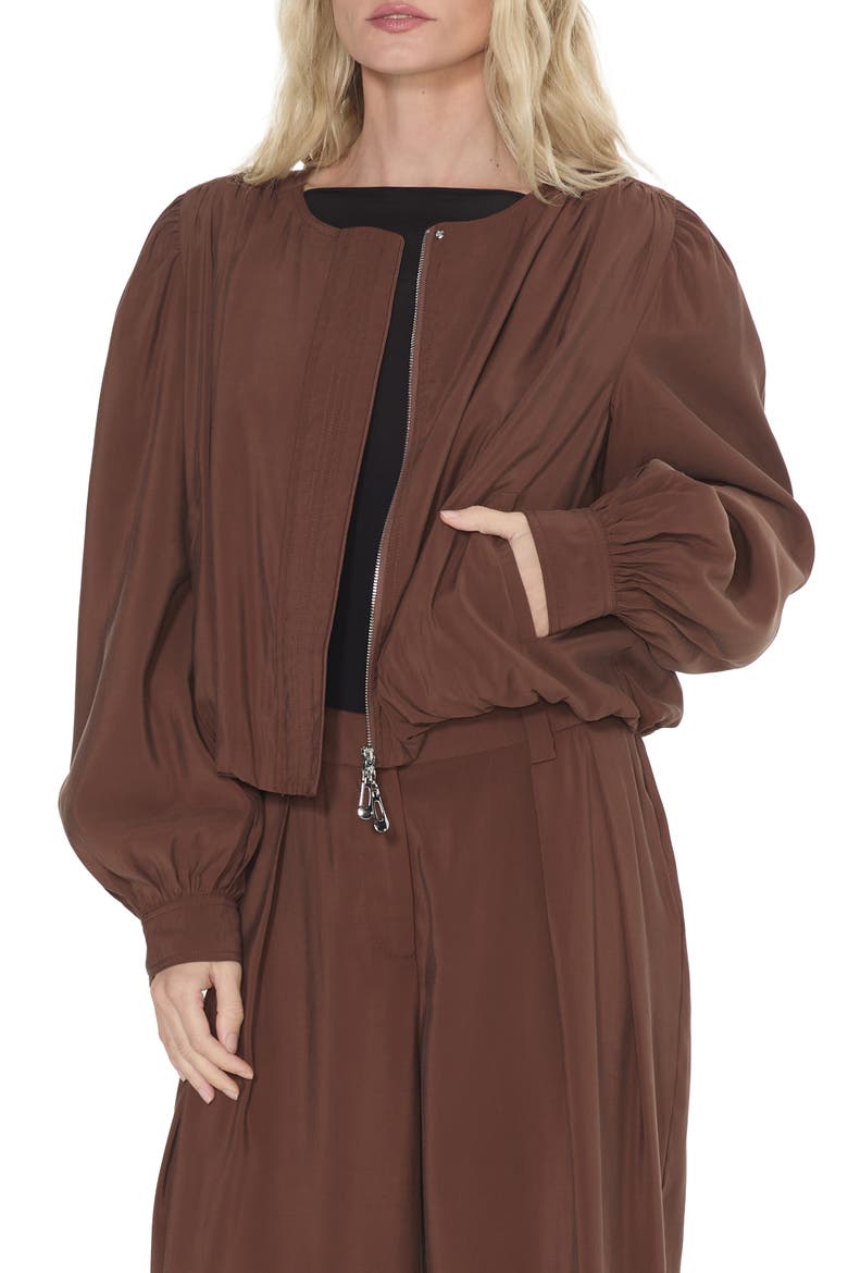 Donna Balloon Sleeve Bomber Jacket, Alternate, color, BROWN