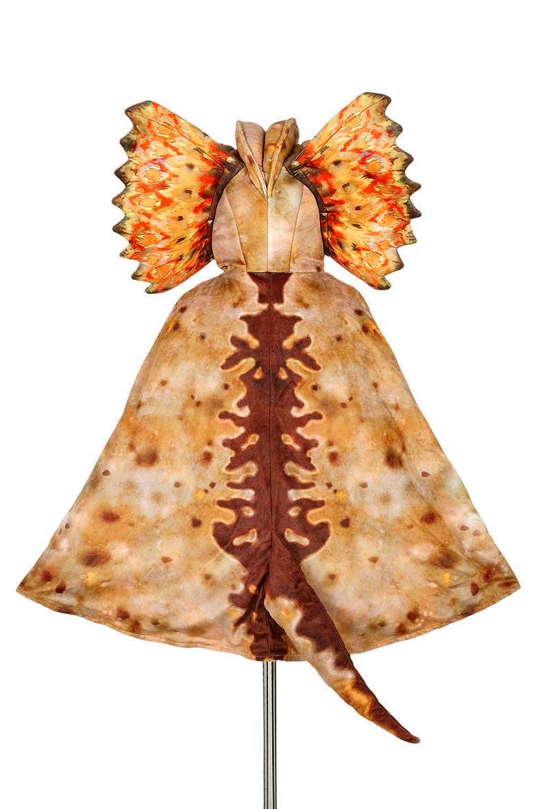 Dilophosaurus Dragon Costume Cape, Alternate, color, Brown