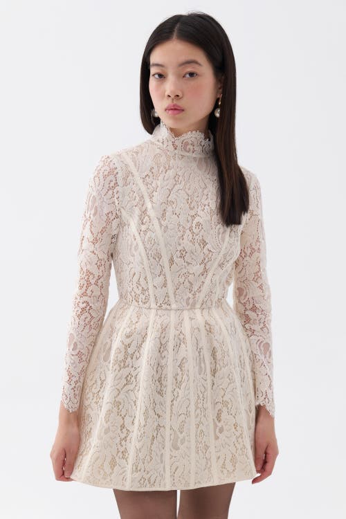 Shop Nocturne Lace Long Sleeve Minidress In Ivory