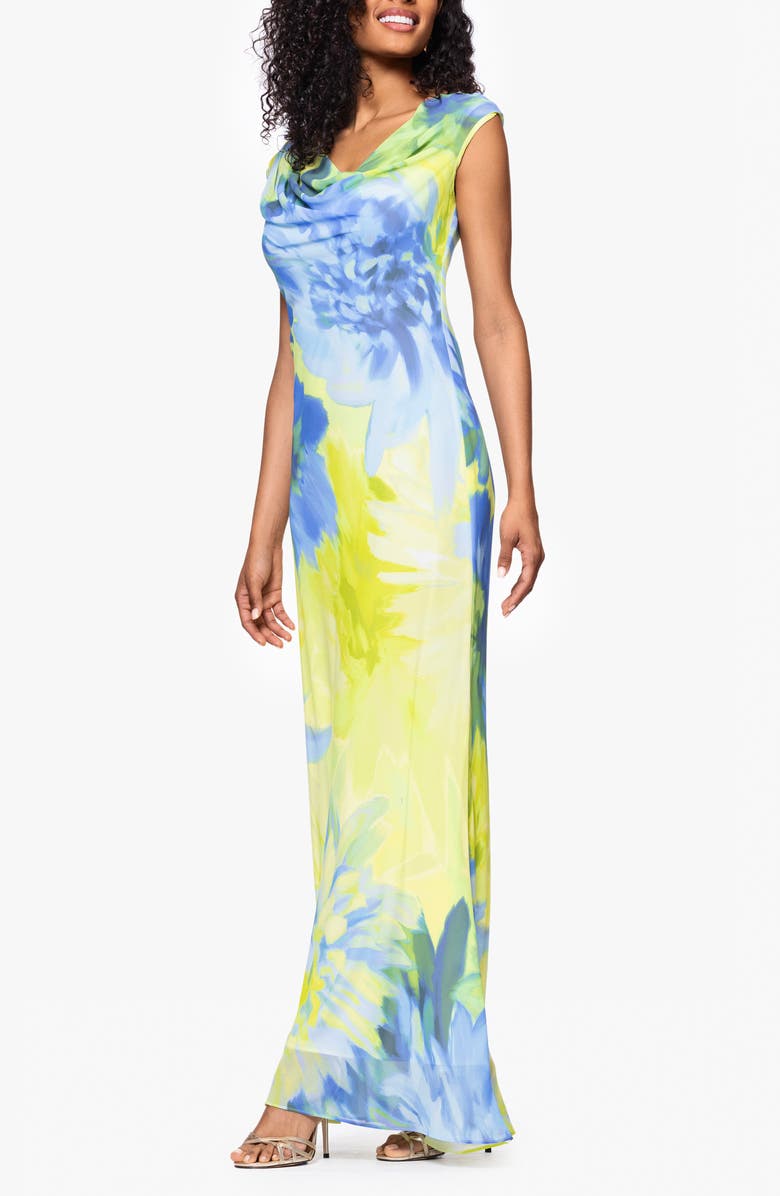 Betsy & Adam Cowl Neck Chiffon Dress, Alternate, color, 